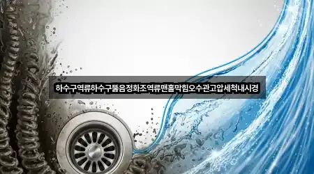 하수구역류하수구뚫음정화조역류맨홀막힘오수관고압세척내시경