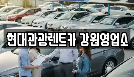 강원 강릉시 유천동 렌트카 전문 현대관광렌트카 강원영업소