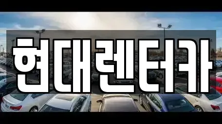강원 강릉시 유천동 렌트카 전문 현대렌터카