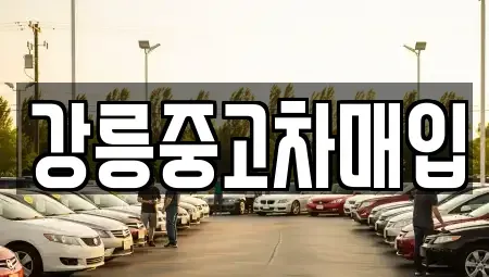 강원 강릉시 유천동 중고차 전문 강릉중고차매입