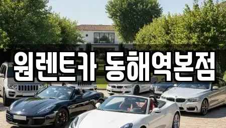 강원 동해시 렌트카,단기렌트카,장기렌트카,중고차,중고차매매,중고차매입