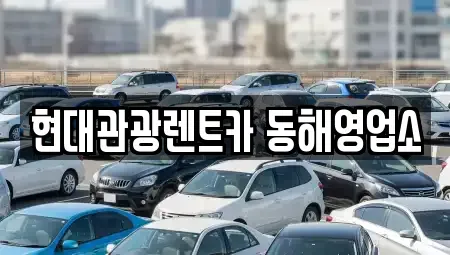강원 동해시 렌트카 전문 현대관광렌트카 동해영업소