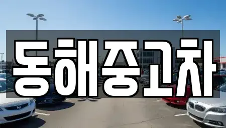 강원 동해시 중고차 전문 동해중고차