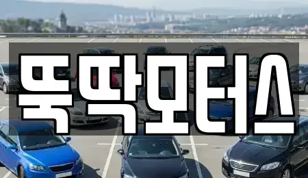 강원 동해시 중고차 전문 뚝딱모터스