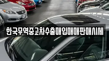 강원 동해시 중고차매입 전문 한국무역중고차수출매입매매판매시세