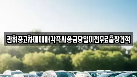 강원 춘천시 온의동 중고차 전문 관허중고차매매매각즉시송금당일이전무료출장견적
