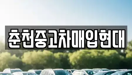 강원 춘천시 온의동 중고차 전문 춘천중고차매입현대