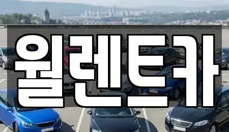 경기 평택시 모곡동 렌트카 전문 월렌트카