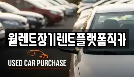 경기 평택시 모곡동 장기렌트카 전문 월렌트장기렌트플랫폼직카