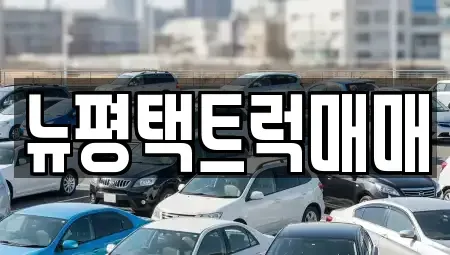 경기 평택시 모곡동 중고차매매,단기렌트카,중고차매입,장기렌트카,중고차,렌트카