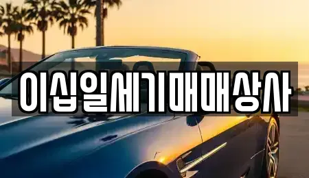 경기 평택시 모곡동 중고차매매 전문 이십일세기매매상사