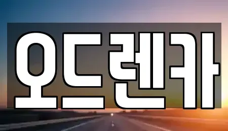 경기도 시흥시 대야동 단기렌트카 전문 오드렌카