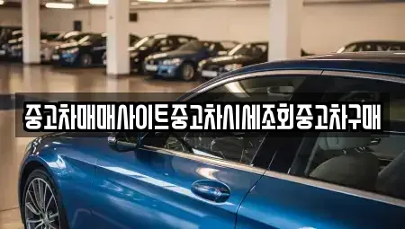 경기도 시흥시 대야동 중고차 전문 중고차매매사이트중고차시세조회중고차구매