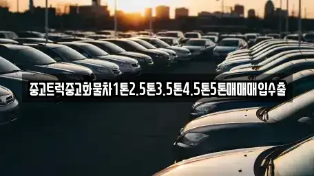 경기도 시흥시 대야동 중고차 전문 중고트럭중고화물차1톤2.5톤3.5톤4.5톤5톤매매매입수출