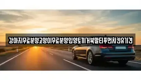 경남 창원시 마산합포구 두월동1가 중고차매입 전문 강아지무료분양고양이무료분양입양토끼거북말티푸먼치킨유기견