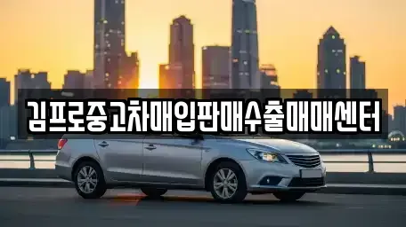 경남 창원시 마산합포구 두월동1가 중고차매입 전문 김프로중고차매입판매수출매매센터