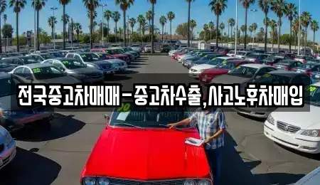 경남 창원시 마산합포구 두월동1가 중고차매입 전문 전국중고차매매-중고차수출,사고노후차매입
