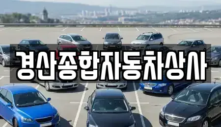 경북 경산시 중산동 중고차 전문 경산종합자동차상사