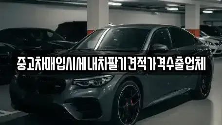 경북 경산시 중산동 중고차매입 전문 중고차매입시세내차팔기견적가격수출업체