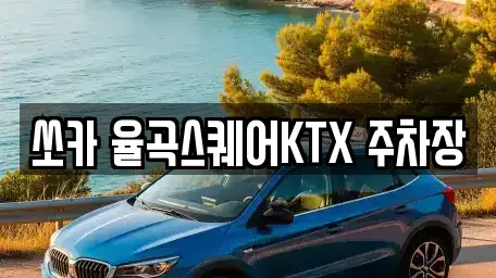 경북 김천시 율곡동 렌트카 전문 쏘카 율곡스퀘어KTX 주차장