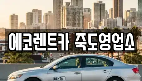 경북 포항시 북구 득량동 렌트카 전문 에코렌트카 죽도영업소