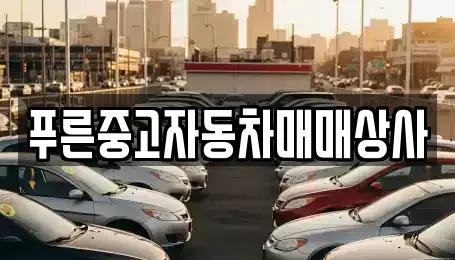 경북 포항시 북구 득량동 중고차 전문 푸른중고자동차매매상사