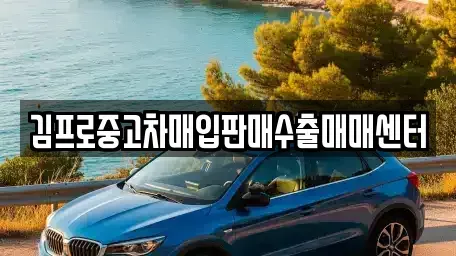 경북 포항시 북구 득량동 중고차매입 전문 김프로중고차매입판매수출매매센터