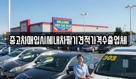 경북 포항시 북구 득량동 중고차매입 전문 중고차매입시세내차팔기견적가격수출업체