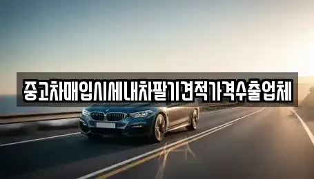 경상남도 창원시 의창구 중동 중고차매입 전문 중고차매입시세내차팔기견적가격수출업체