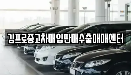 경상북도 청도군 매전면 중고차 전문 김프로중고차매입판매수출매매센터