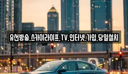 경상북도 청도군 매전면 중고차매입 전문 유선방송.스카이라이프.TV.인터넷.가입.당일설치