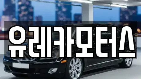 경상북도 포항시 북구 청하면 중고차 전문 유레카모터스