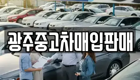 광주광역시 광산구 하남동 중고차매입 전문 광주중고차매입판매
