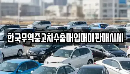 광주광역시 광산구 하남동 중고차매입 전문 한국무역중고차수출매입매매판매시세