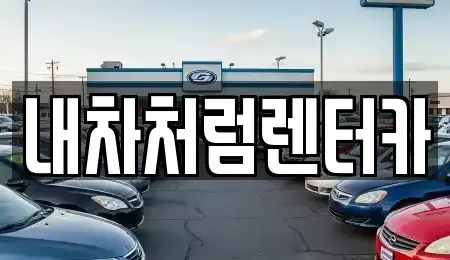 대구 달서구 본동 렌트카 전문 내차처럼렌터카