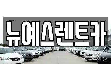 대구 달서구 본동 렌트카 전문 뉴예스렌트카