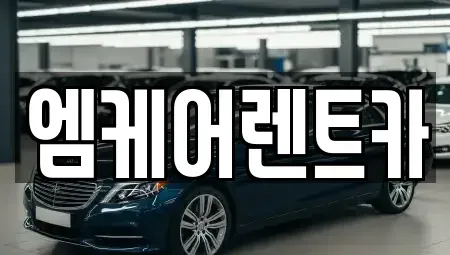 대구 달서구 본동 렌트카 전문 엠케어렌트카