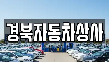 대구 달서구 본동 중고차매매 전문 경북자동차상사