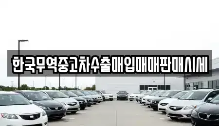 대구 달서구 본동 중고차매매 전문 한국무역중고차수출매입매매판매시세