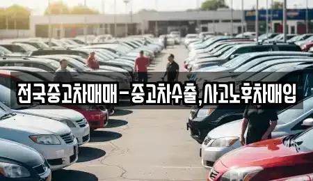 대구 달서구 본동 중고차매입 전문 전국중고차매매-중고차수출,사고노후차매입