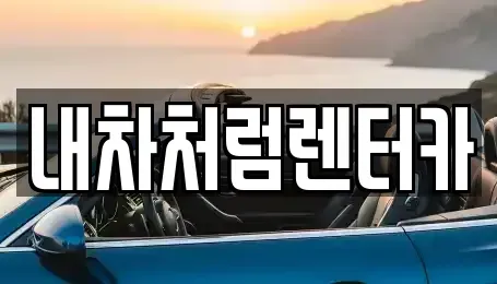 대구 수성구 이천동 렌트카 전문 내차처럼렌터카