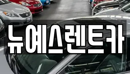 대구 수성구 이천동 렌트카 전문 뉴예스렌트카