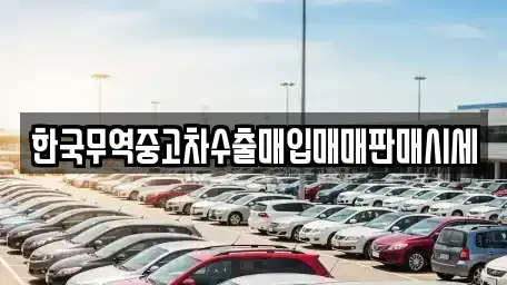 대구 수성구 이천동 중고차매매 전문 한국무역중고차수출매입매매판매시세