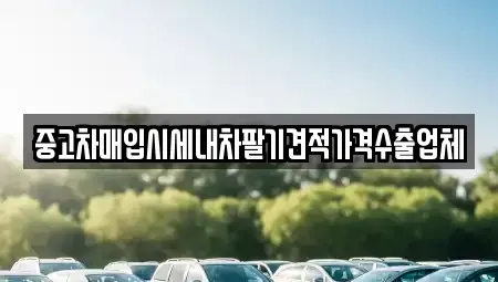 대구 수성구 이천동 중고차매입 전문 중고차매입시세내차팔기견적가격수출업체