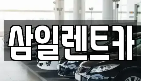 부산 강서구 성북동 렌트카 전문 삼일렌트카