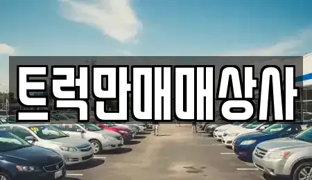부산 강서구 성북동 중고차매매 전문 트럭만매매상사