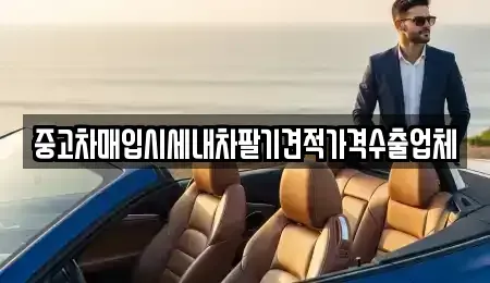 부산 강서구 성북동 단기렌트카,중고차매입,중고차매매,중고차,렌트카,장기렌트카