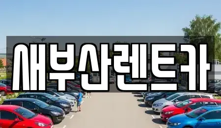 부산 영도구 신선동2가 렌트카 전문 새부산렌트카