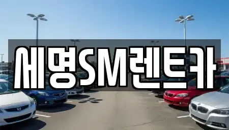 부산 영도구 신선동2가 렌트카 전문 세명SM렌트카