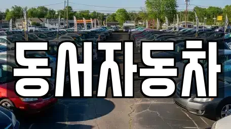 부산 영도구 신선동2가 중고차 전문 동서자동차